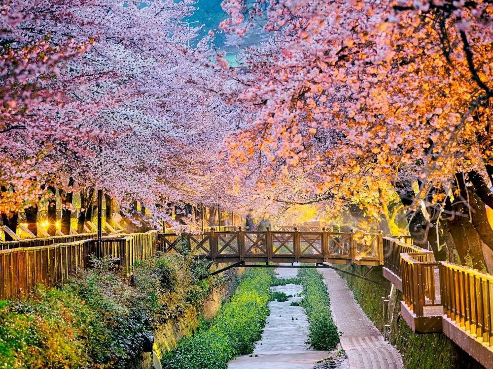 Viaggio in Corea del Sud